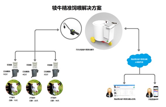 犊牛精准饲喂系统